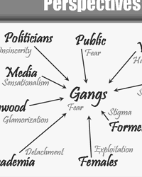 Sample 7: A slide from a power point presentation, showing various stakeholders in the gang problem
